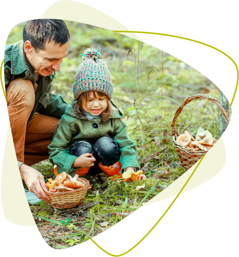 Permisos de Recolección de Setas en Albarracín 2025