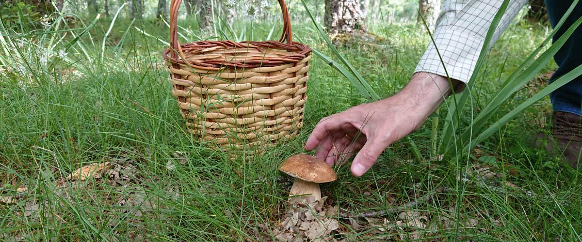 carrusel-micoragon-permisos-5