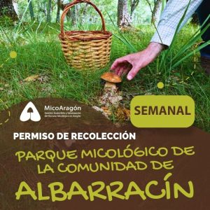 Permiso Turístico Semanal 2025